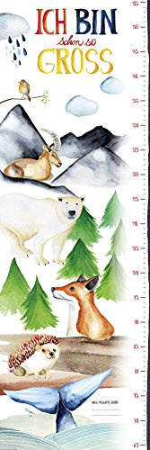 Close Up Messlatte Poster/Kinderzimmer Wandbild für Mädchen & Jungen/Kindermesslatte 30x 91,5cm
