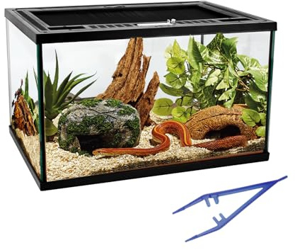 Reptile Glass Tank 16x11x9 Terrarium with Top Opening and Screen Ventilation for Leopard Gecko,Lizard,Hermit Crab,Snake,Spider,Frog,Bearded Dragon,Turtle with Feeding Tongs