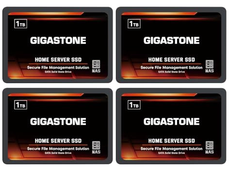 Gigastone Home Server SSD 1 TB NAS SSD-enhet Cache (4-pack) 24/7 hållbar TLC hög uthållighet personlig moln datasynkronisering nätverk ansluten lagring RAID 3D NAND 2,5 tum SATA interna Solid