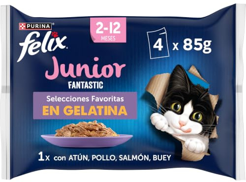 FELIX Fantastic Junior Comida Húmeda para Gatos Selecciones Favoritas, 4 Sobres Fáciles de Servir, Tiernos Trozos en Gelatina, 4 Deliciosos Sabores, Nutrición 100% Completa y Equilibrada