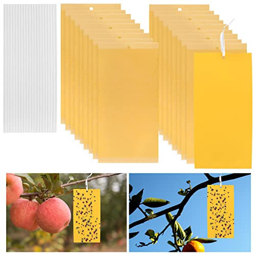 Dual-sided Fly Trap Sticky, 25Pcs Plant Fly Catcher, Board Fruit Fly Traps Sticker Insect Gnat Traps, Yellow Fly Stickers for Mosquitos, Flying Aphid, Whiteflies, Fruit Flies, Fungus Gnat and Vermin