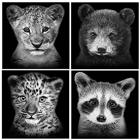 DCIDBEI Diamond Painting 4er Set 30x30 cm Diamant Painting Bilde Tiere Malen Nach Zahlen Löwe Diamond Painting Leopard Kreuzstich Diamant Malerei Diamond Painting Waschbär Löwe Bär Schwarz Weiss