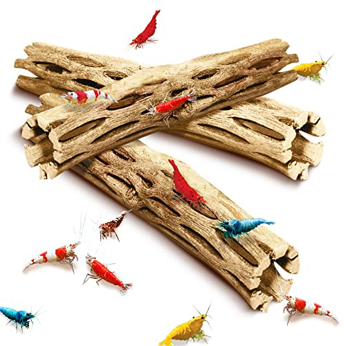 SunGrow Cholla Wood, 6” Climbing Logs, Chew Toy, Aquarium Fish, Snail, and Shrimp Driftwood, Tropical Freshwater Fish Décor, Adds Raw Beauty, 3 Pack
