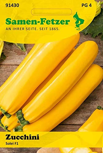 Zucchini Solei (Orelia) F1