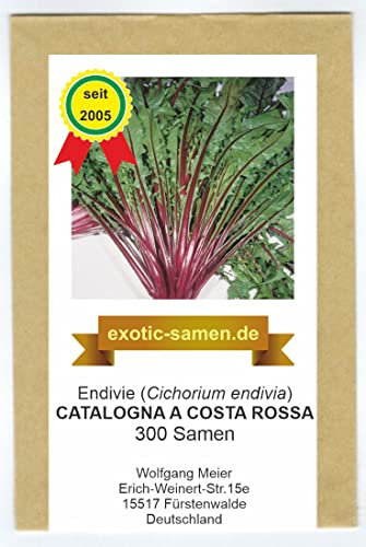 Endivie Salat Katalona a costa rossa - samenfeste Sorte – 300 Samen