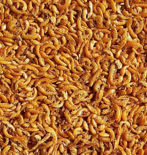 Natural Dried Small Shrimps 500g Premium Quality Complete Food For all Tropical, Pond Fish Reptiles etc SMSD