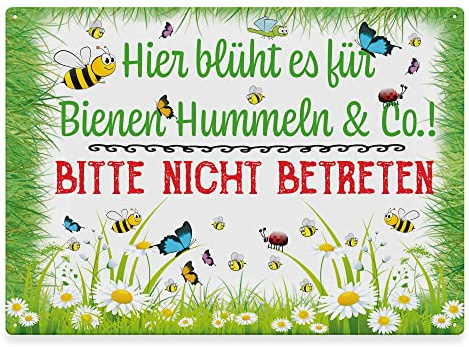 Metallschild für den Garten - Hier blüht es für Bienen & Co - Geschenk für Gärtner, Gartenschild für draußen, Outdoorschild aus Aluminium | Wetterfest, 28x20 cm