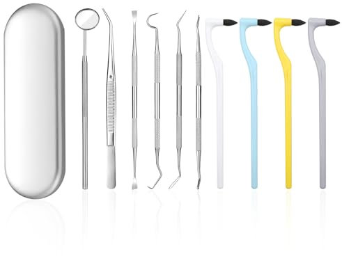 Scettar 11 Piezas Kit de Dentista Para Eliminar el Sarro, Kit Limpieza Dental Quita Sarro Dental Sarro Dental Limpiador Dental Cuidado Kit con estuche, Diente Relleno Reparación Juego Acero Inoxidable