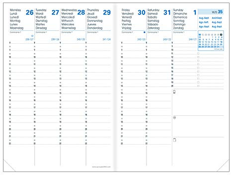 QUO VADIS - Nachfüllpack 16 Monate – 2025 – 2026 – Business SD – Wochenkalender – mehrsprachig – 16 Monate September bis Dezember – 10 x 15 cm – weißes Papier