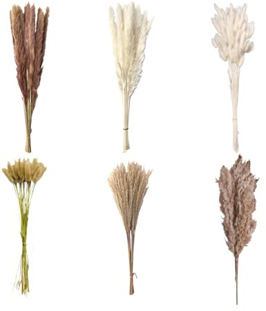 120 Pièces Décoration en Pampas Séchées Pampa Naturelle Décoration Fleurs Séchées Bouquet Décor Pampas avec des Fleurs Séchée de Queue de Lapin, pour Déco Intérieur, Chambre, Boho Mariage