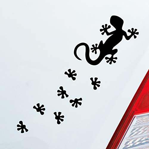 Hellweg Druckerei Salamander Agame Echse Lizard Fußspuren Auto Aufkleber Sticker Heckscheibenaufkleber