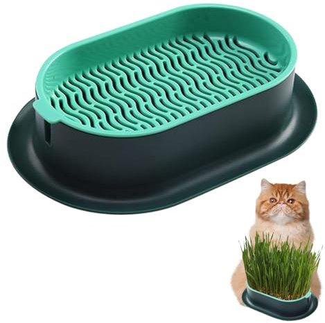 HONGECB Pflanzschalen Für Katzengras, Katzengras Schale, Katze Gras Pflanzer, Katzengras Pflanzkasten, Keimschale Für Anzucht Von Innen Oder Außen 18x12x4.5cm, Hydroponische Katze Gras Wachsen Kit