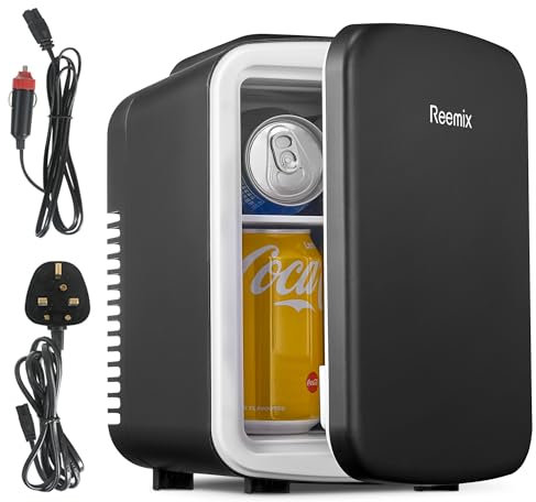Reemix Mini-Kühlschrank, 4 Liter/6 Dosen, tragbarer Kühler und Wärmer persönlicher Kühlschrank für Hautpflege, Kosmetik, Getränke, Lebensmittel, ideal für Schlafzimmer, Büro, Auto (Schwarz)