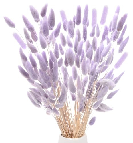 M METERXITY 120er-Pack Hasenschwanzgras 17 Zoll Flauschiges Kaninchen-Schwanzgras Getrocknete Blumen Zweige Vasenfüller Getrocknete für Zuhause/Hochzeit/Vase/Büro/Party [Helllila]