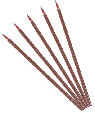 HAPINARY Plumas de Pincel para Caligrafía y Acuarela 5 Piezas para Estudiantes y Manualidades