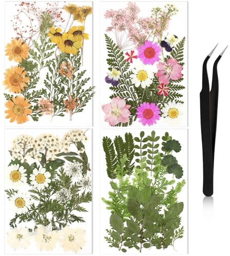 Nuanchu Pressed Flowers for Crafts Resin Dried Flower Bulk White Natural Dried Wildflowers Daisy with Tweezer for Resin Mold Candles Cake DIY Christmas Craft Card Making Wedding Scrapbooking Supplies