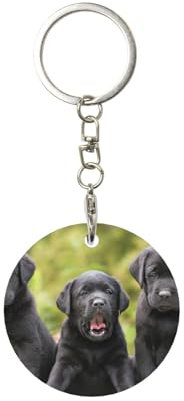EgoMed Runder Metall-Schlüsselanhänger, Metall-Schlüsselanhänger, Autoschlüsselanhänger, Ringhalter, 1 Stück, Labrador Retriever Hund Druck