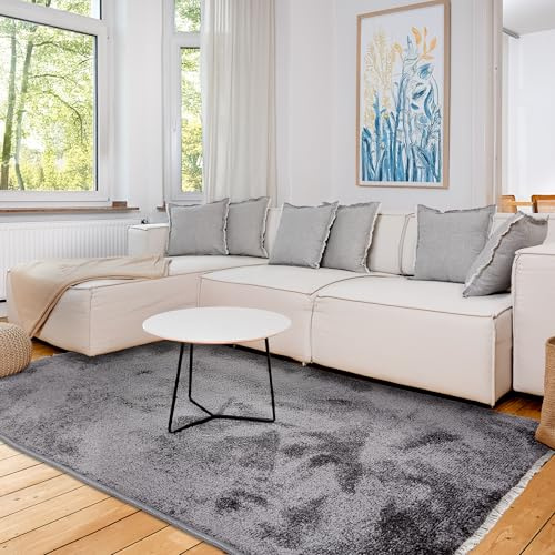 Astra Hochwertiger Teppich Wohnzimmer, Schlafzimmer - Kuscheliger Kurzflorteppich weich - Einfarbiges Flachgewebe für Innen - Teppich Anthrazit, 160x230 cm
