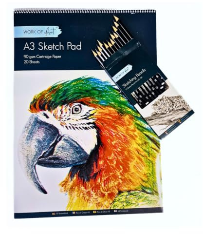 A3 Skissblock och pennuppsättning: Förpackning med A3 skissbok ritpapper - barn målarbok och konstpapper - lätt att använda klotterblock med 70 GSM 16 ark vardera totalt 32 ark + 12 graderade pennor