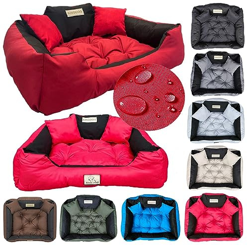 KING DOG Hundebett S 55 x 45 cm mit hohem Rand 2 Kissen inklusive | Weiche Füllung, angenehm gepolstert
