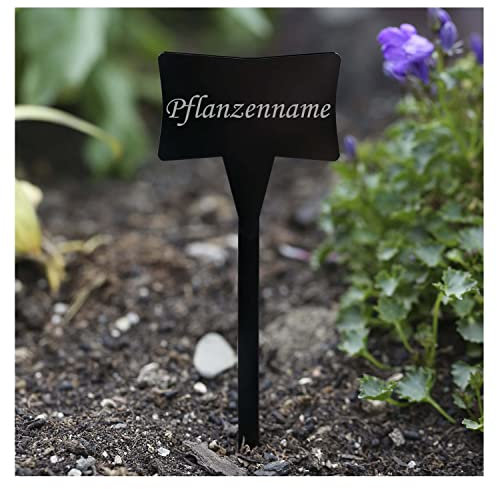 Acrílico cristal – Etiquetas para plantas (Esclavo Negro – Jardín Conector, hierbas letreros, Planta, conector – Selección + Nombre Personalizado, Gladiolen