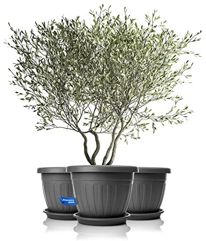 BigDean 3X Blumentopf mit Untersetzer rund ø50xH38 cm anthrazit - wetterfester Pflanzkübel - Wasserablauf UV-beständig aus bruchsicherem Kunststoff - Innen + Außen geeignet - Made in Europe