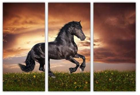 AREDE 3er Set Wandkunst Gemälde Bild Poster Schwarzes Pferd bei Sonnenuntergang | 90 x 60 cm | Wandbilder Wanddekoration Home Office Wohnzimmer Schlafzimmer Dekoration | Fertig zum Aufhängen