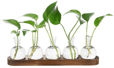 Everkeen Plant Propagation Stations with Vintage Wooden Pallet,Bulb Tabletop Glass Vase for Propagating Hydroponic, Living Room,Office,Garden,Festival Decoration, for Family and Friends