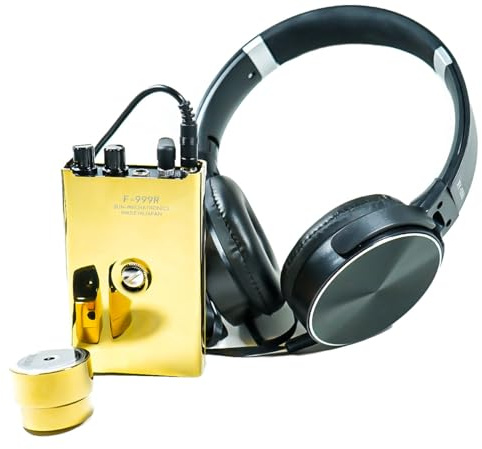 DECATRONIC Professionelles Wandmikrofon der Gold-Serie mit Filtersystem und Aufnahmeausgang ideal für Zuhause Büro Sicherheit Privatsphäre (F999r Gold)