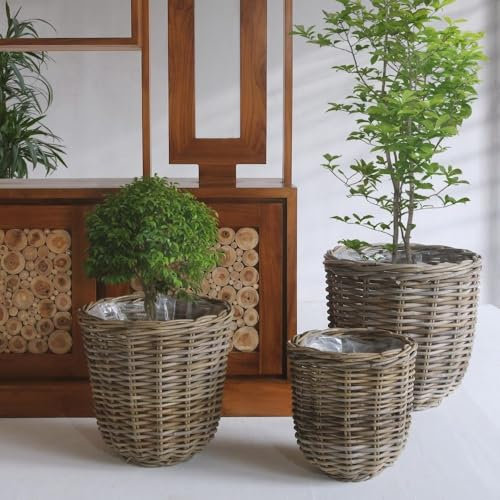 LEBENSwohnART Natur Rattan Pflanzkorb BORKUM Kubu Grey ca.30cm Pflanztopf Übertopf Korb Aufbewahrungskorb