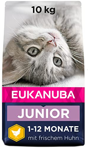 Eukanuba Junior kattmat torr – premium torrfoder för kattungar från 1–12 månader, främjar hälsosam tillväxt, hög kötthalt, 10 kg
