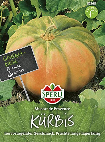Kürbissamen - Kürbis Muscade de Provence von Sperli-Samen