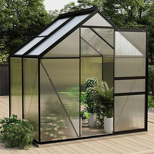 Camerina Anlehngewächshaus GewäChshaus üBerdachung Terrasse Anzucht GewäChshaus Anthrazit Aluminium 2,47 m² 312065