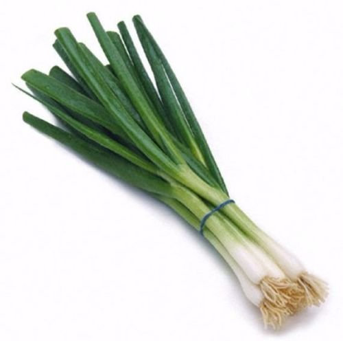 Scallion/verde raggruppamento cipolla 500 semi Allium Cepa Asian Cuisine I16