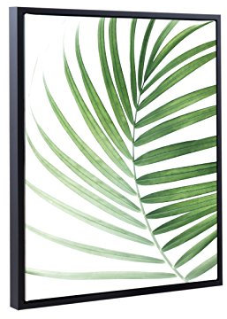 Bildershop-24 Schattenfugenrahmen Set Lemgo Schwarz (matt) mit Keilrahmen Leinwand Bild Druck Motiv: Palmenblatt 1 60x80cm