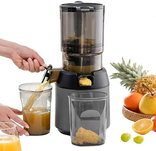 Generico Estrattore di Succo Professionale Lento 300 W, Macchina Spremiagrumi con Tramoggia di Alimentazione da 13 cm e Separazione della Vinaccia per Frutta e Verdura