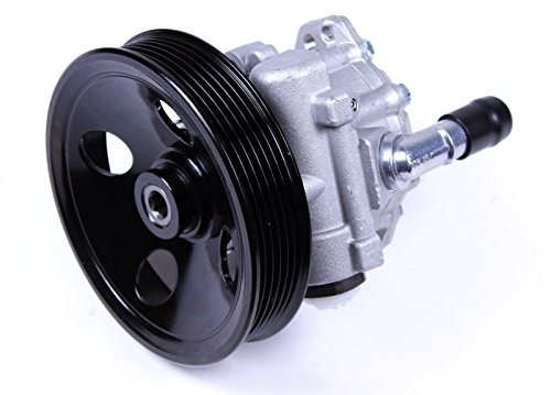 Pompa Servo Sterzo Nuovo 1145101900
