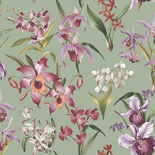Maya Floral Sage Green Wallpaper - Vibrant Colourful Naturistic Blossoming - Modern Contemporary Feature Wall