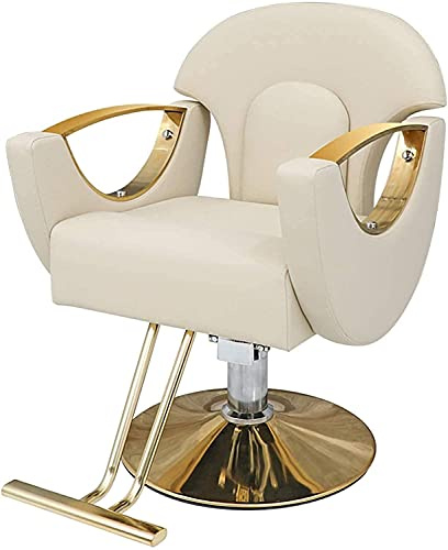 ZJGFCB Hydraulic Salon Stuhl für Wirtschaft oder Zuhause, Beauty Salon Friseur Schwenk klassischer Friseursalon Stuhl Einstellbare Höhe und Styling -Shop Friseur Stuhl 420 lbs Kapazität Kapazität