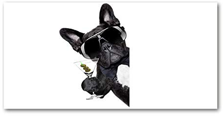 Tulup Splashback 39.37x19.68 inch / 100x50cm Glass Panel Tempered Glass Kitchen Panel Splash-back Kitchen Protection Induction Cooker Wall Protection Toughened Safe Glass - Black - dog with Martini