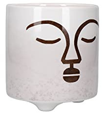 KitchenCraft Vaso per Piante da Interno, Erbe Aromatiche, Cactus e Piante Grasse in Dolomite, 10x10x11 cm, Marrone