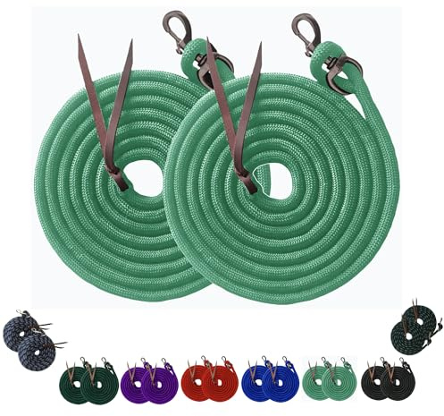 Majestic Ally Poly-Trainingsleine, 4,6 m, 2 Stück, mit Leder-Popper für Pferde und Nutztiere, 4,6 m lang und 1,6 cm dick, austauschbarer robuster Bolzenverschluss (Türkis)