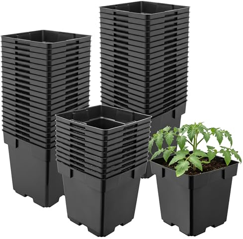 Garronda Pflanztopf Kunststoff 14 x 14 x 14 cm (2L) 50er Set eckig mit Drainagelöchern Blumentopf robust Pflanzentopf für Garten Gewächshaus Balkon Anzucht Innen Außenbereich Schwarz GD-0199