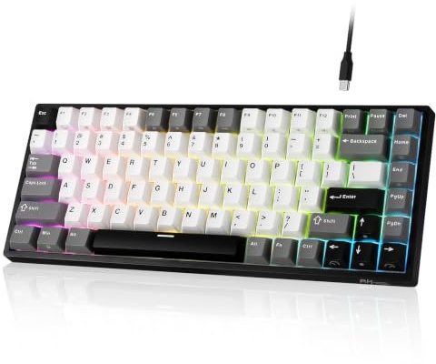 RK ROYAL KLUDGE RK84 kabelansluten 75 % RGB hot-Swap mekaniskt tangentbord, QWERTY