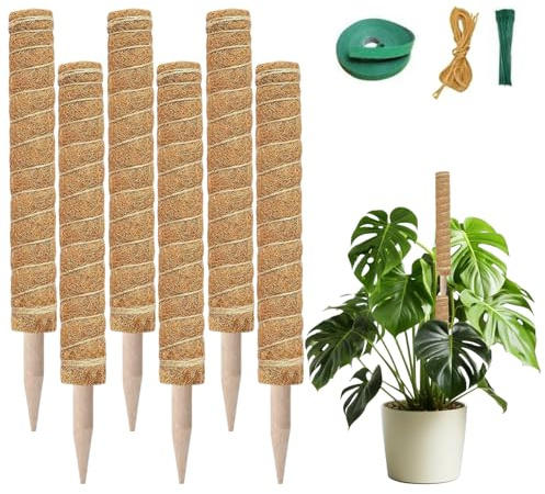 Tutores para Plantas Monstera, 6 Piezas 40cm en Fibra de Coco, con 2m de Cuerda, 2m Velcro y 20 Bridas, Apilables y Extraíbles, Soporte para Plantas Trepadoras (6)