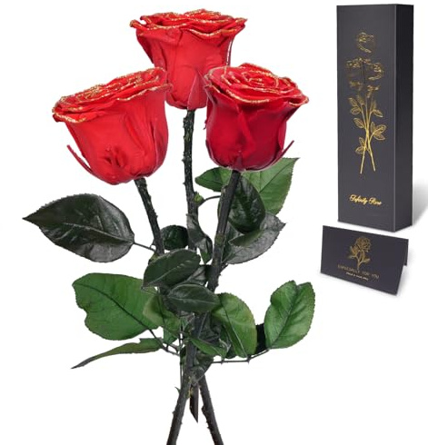 Yamonic Ewige Rose Geschenke für Frauen,Infinity Rose mit Stiel Geburtstagsgeschenk für Frauen, Echte Rose in Geschenkbox,Konservierte Blumen Geschenk Weihnachten Valentinstag Deko Geschenk, 3 Rosen