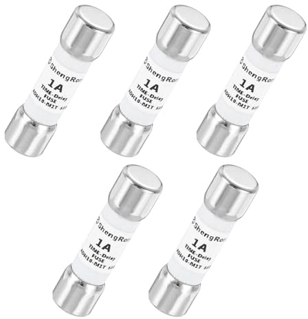 QUARKZMAN 5er Packung Glas Sicherung 1A, Träge Feinsicherung 10X38mm Zeitverzögerungssicherung 600V AC für DIY-Inverter-Schaltkreisplatine