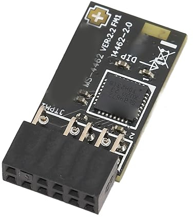 Módulo TPM 2.0 Módulo de Seguridad de Cifrado SPI de 2 Pines con SLB 9672 para Placas Base - Compatible con 0 y - Mejora los Datos y la Seguridad