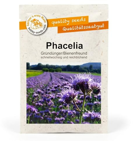 Gärtner's erste Wahl! Bobby-Seeds Phacelia Samen Bienenfreund/Büschelschön 25 g für ca. 6 m², Gründüngung & Bienenweide Saatgut ohne Gentechnik, einjährig