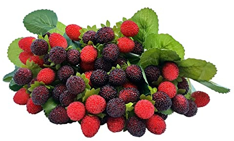 M2cbridge Artificial Raspberry Red Berry Strawberry Faux Fruit BlackBerry Props Table Decoration (Red with Black,8PCS)